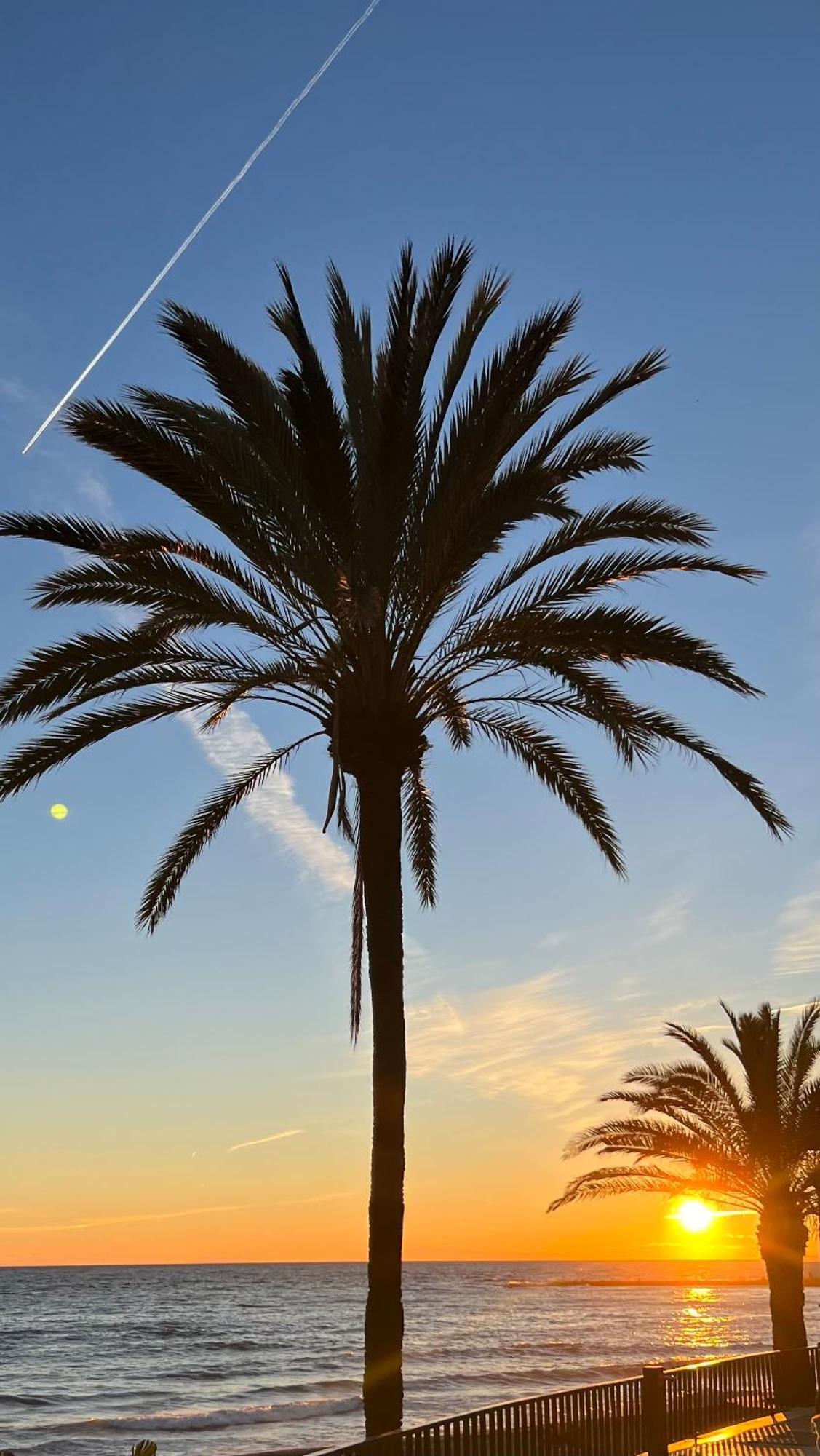 Apartamento Al Parque Marbella, Cerca De Mar Y Centro De Marbella Esterno foto